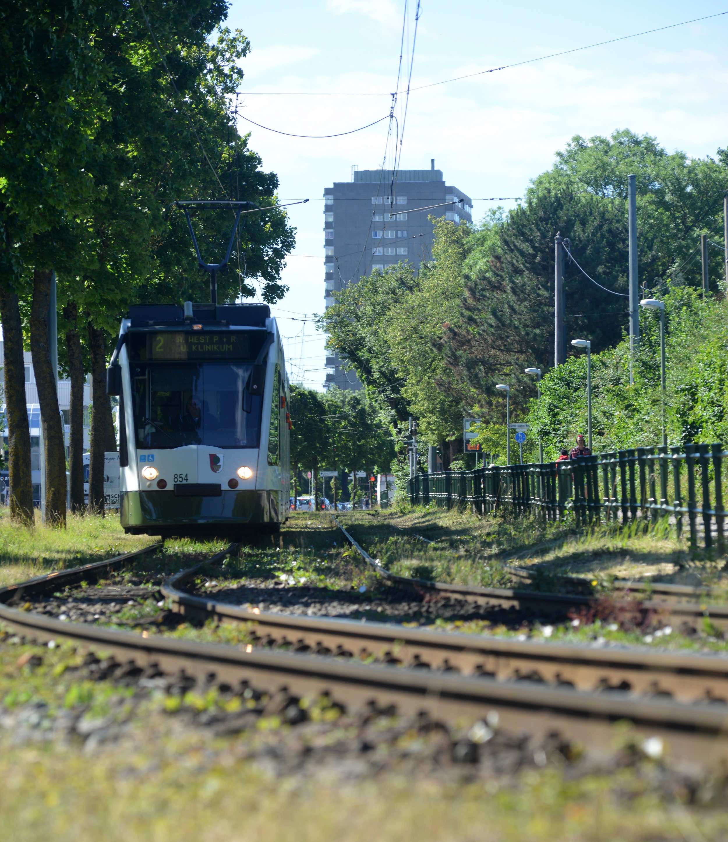 Während der Sommerferien werden die Gleise der Straßenbahnlinie 2 zwischen Schertlinstraße und Haunstetten ausgetauscht. Deshalb fahren Busse statt Straßenbahnen. Foto: swa / Thomas Hosemann